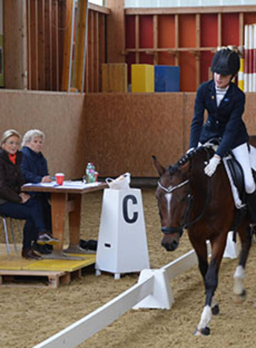 Technische Komitees & Kommissionen